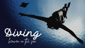 Diving with Island